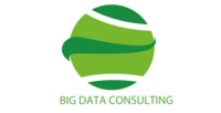 Big data consulting 